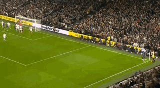 Oct-19-2025 07-20-01.gif